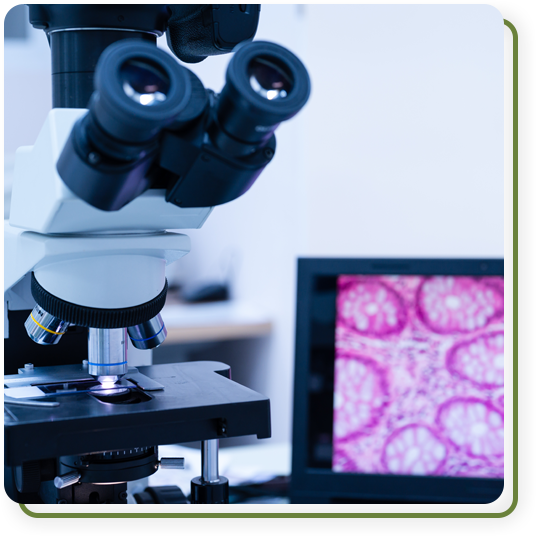 Veterinary diagnostic equipment used for pet health testing at Cane Bay Veterinary Clinic in Summerville, SC
