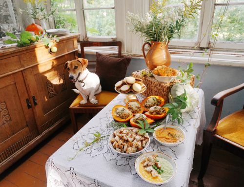 Thanksgiving Pet Safety: Protect Your Furry Friends with These Expert Tips!